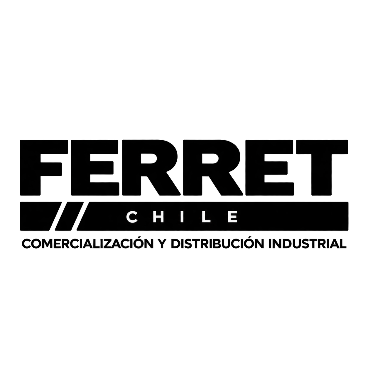 FERRET CHILE